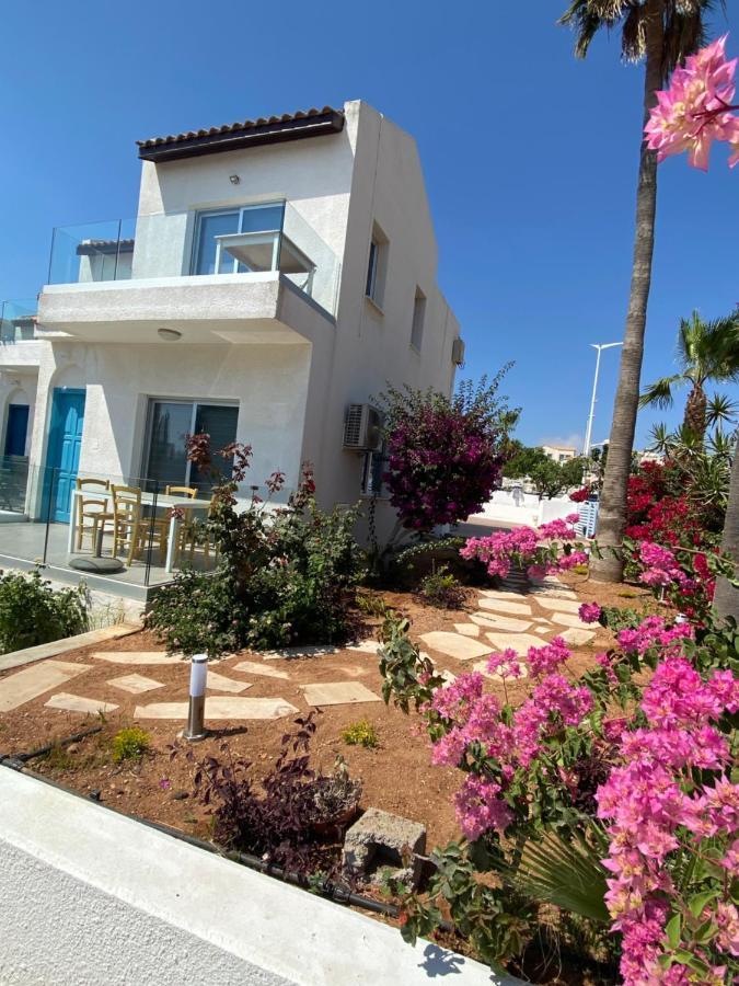 Andreotis Villas Протарас Екстериор снимка
